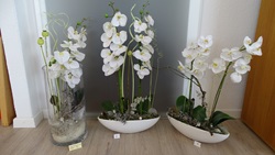 Orchideen Gestecke