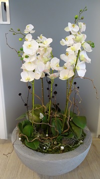 Orchideen Gesteck